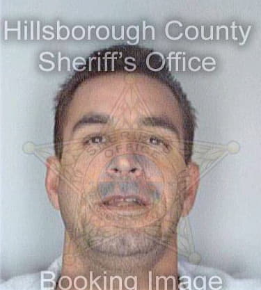 Santiagogonzalez Luis - Hillsborough County, FL 