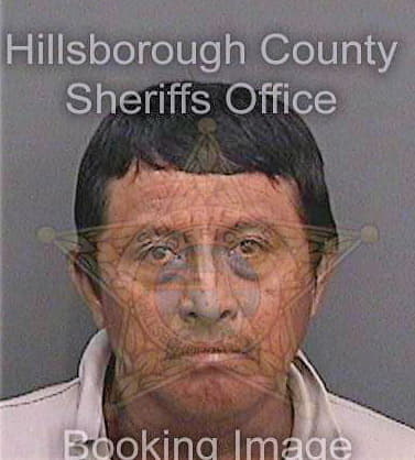 Hernandezgarcia Ranulfo - Hillsborough County, FL 