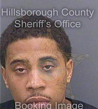 Davis Anthony - Hillsborough County, FL 