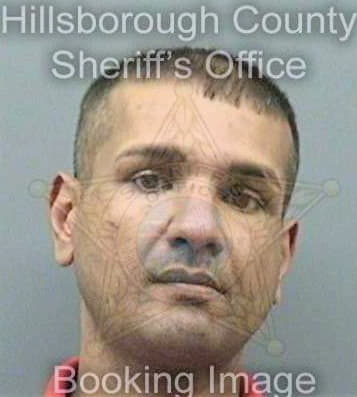 Thomas George - Hillsborough County, FL 