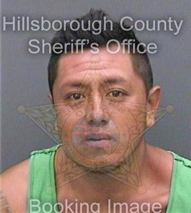 Gonzalez Gladio - Hillsborough County, FL 