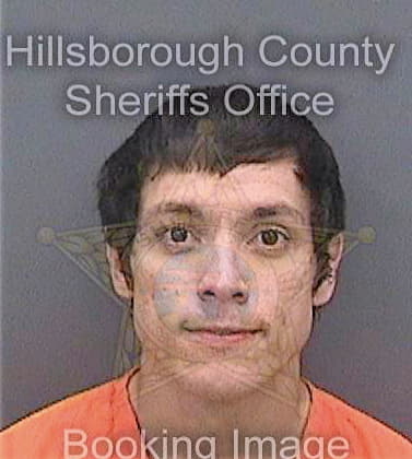 Santiesteban David - Hillsborough County, FL 