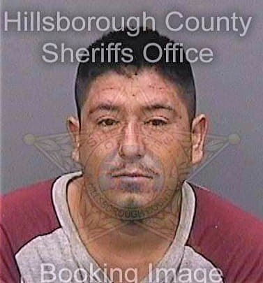 Trejo Salvador - Hillsborough County, FL 