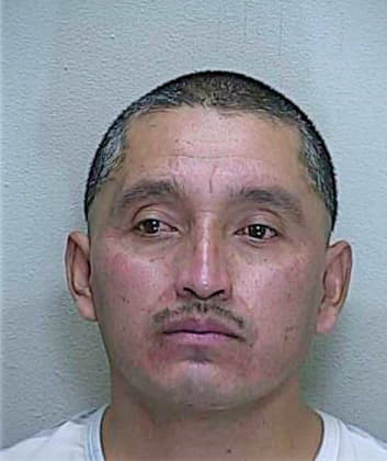 Miranda Bernardo - Marion County, FL 