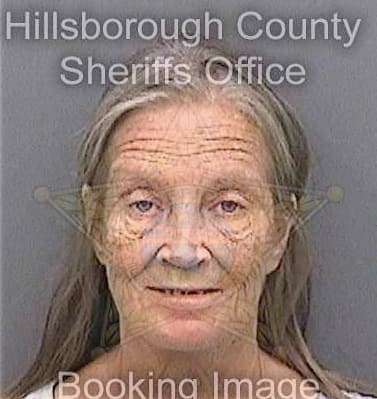 Blizzard Kathy - Hillsborough County, FL 