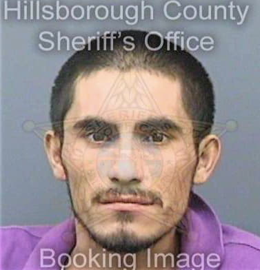 Jimenezaguillon Ricardo - Hillsborough County, FL 