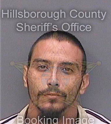 Hernandez Isreal - Hillsborough County, FL 
