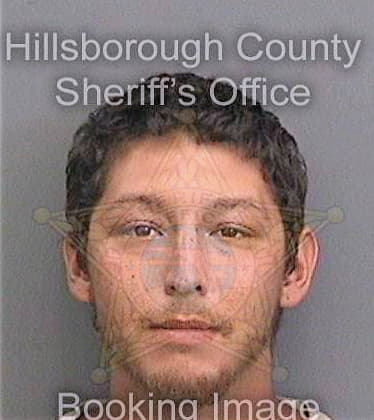 Delagarza Levi - Hillsborough County, FL 