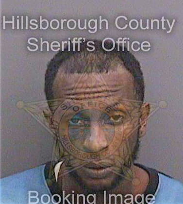 Singletary Omar - Hillsborough County, FL 