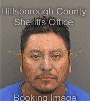 Ninogarcia Armando - Hillsborough County, FL 