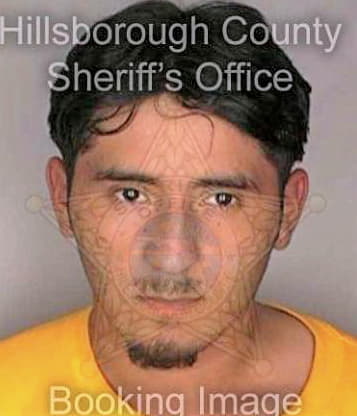 Medrano Renee - Hillsborough County, FL 