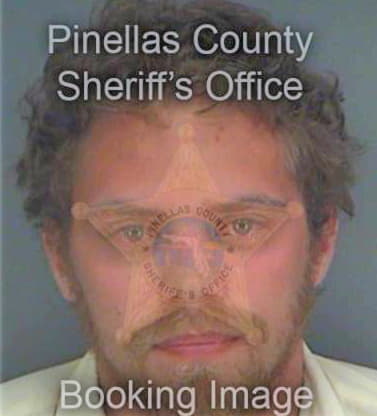 Mcnamee Cody - Pinellas County, FL 