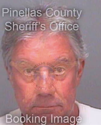 Hollenbeck Craig - Pinellas County, FL 