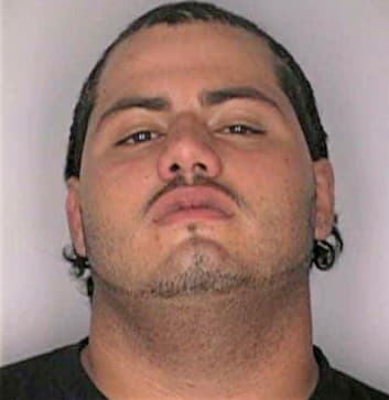 Leontorres Luis - Hillsborough County, FL 