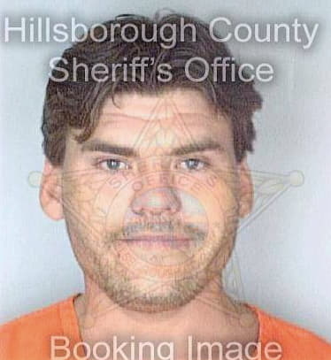 Miller Jason - Hillsborough County, FL 