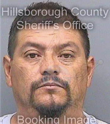 Gonzalezflores Carlos - Hillsborough County, FL 