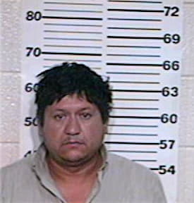 Martinez Hector - Hidalgo County, TX 