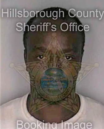 Black James - Hillsborough County, FL 