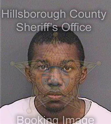 Hall Bryan - Hillsborough County, FL 