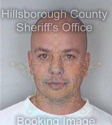 Dominquez Claudio - Hillsborough County, FL 