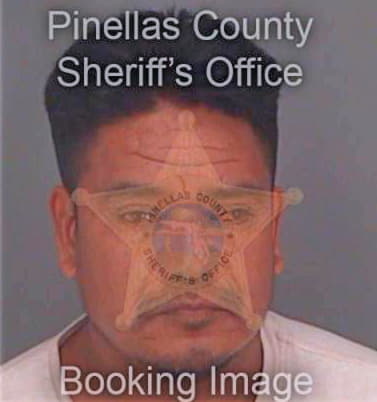 Gonzalez Zeferino - Pinellas County, FL 