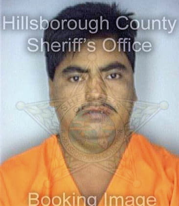 Gomez Marcelino - Hillsborough County, FL 