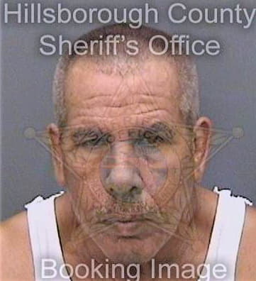 Sanchez Raymond - Hillsborough County, FL 