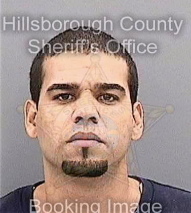 Ramos Robert - Hillsborough County, FL 