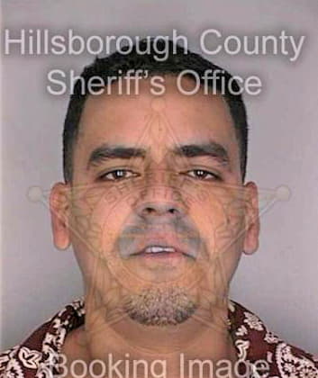 Gonzalez Ruben - Hillsborough County, FL 