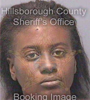 Sneed Tkeyah - Hillsborough County, FL 