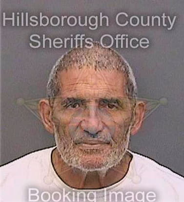 Richards Luis - Hillsborough County, FL 