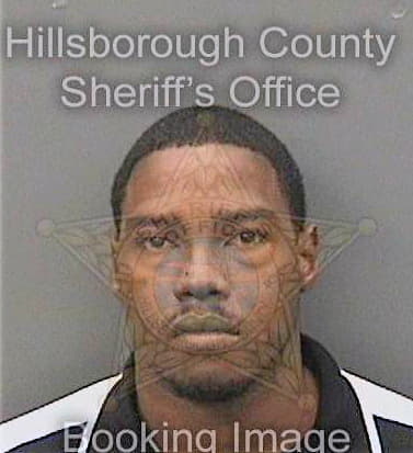 Richardson Lewis - Hillsborough County, FL 