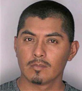 Garcia Marcelino - Hillsborough County, FL 