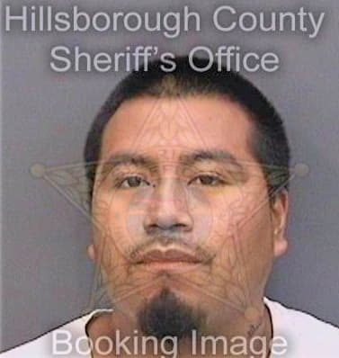 Reymundobautista Mario - Hillsborough County, FL 