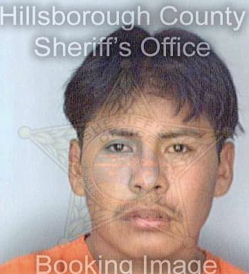 Perezhernandez Jose - Hillsborough County, FL 