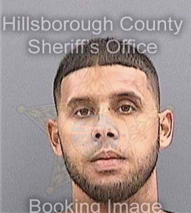 Fernandez Carmelo - Hillsborough County, FL 