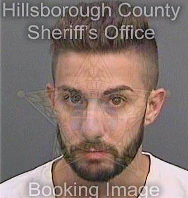 Spadaro Michael - Hillsborough County, FL 