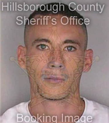 Mckinney Chad - Hillsborough County, FL 