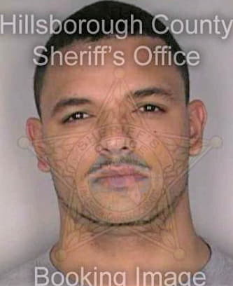 Lopez Jason - Hillsborough County, FL 