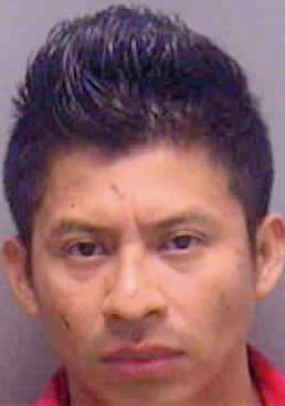 Hernandez-Dominguez Andres - Lee County, FL 