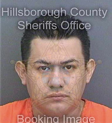 Lopezguerrero Alejandro - Hillsborough County, FL 