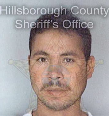 Chirino Edilberto - Hillsborough County, FL 