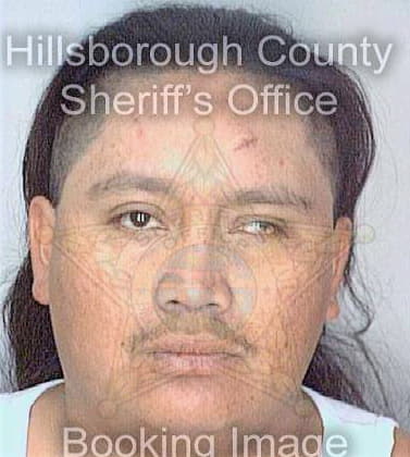 Gonzalez Pedro - Hillsborough County, FL 