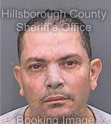 Dejesus Jaime - Hillsborough County, FL 