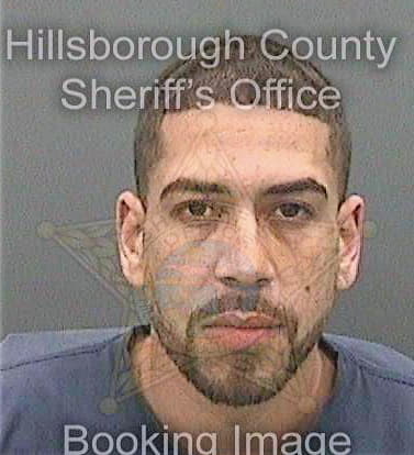 Ortiz Neftali - Hillsborough County, FL 