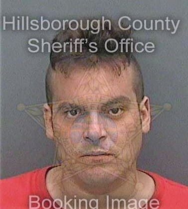 Varonallanes Jorge - Hillsborough County, FL 