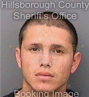 Tejada Martin - Hillsborough County, FL 