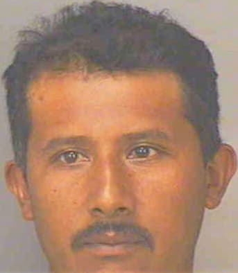 Aguilar Avelino - Polk County, FL 