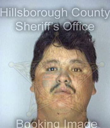 Gomez Carmelo - Hillsborough County, FL 