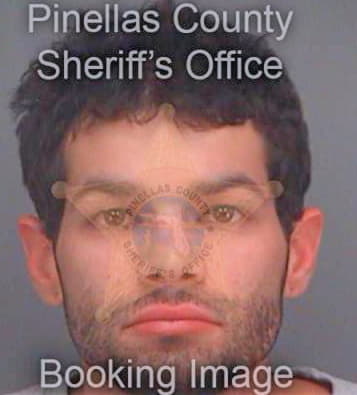 Crespo Nicholas - Pinellas County, FL 